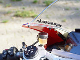 Tank cover set (3 ST) carbon for Ducati V4
