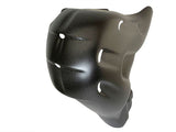 Heat protection Euro5 Carbon Ducati V4