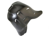 Heat protection Euro5 Carbon Ducati V4