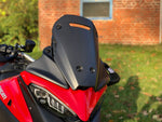 Wind deflector Carbon Fiber for Ducati Multistrada V4