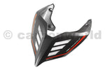 Seat cover Carbon Fiber race Ducati Panigale V4