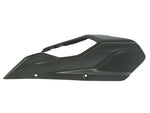 Chainguard front Carbon Fiber for Ducati Multistrada V4