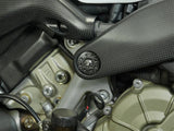 Frame plug top carbon Ducati Panigale V4, Streetfighter V4