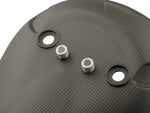 Heat protection carbon matte for Ducati Panigale V2, Streetfighter V2